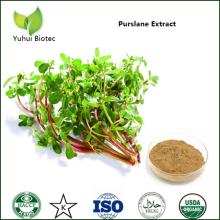 Portulaca Oleracea P.E.,Purslane Extract, Portulaca Oleracea Extract