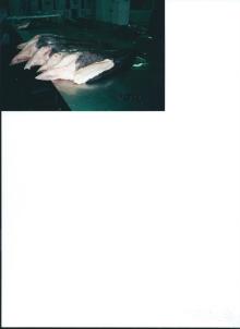 FROZEN  SEABASS 