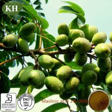 Natural Olea europaea extract: Maslinic acid 1%-30% sample for free