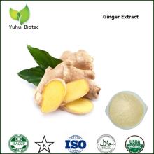 ginger extract,ginger extract gingerol,ginger extract powder