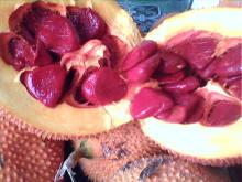 Fresh Gac Fruit