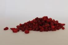 Barberry