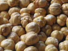 Chickpea