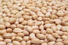Mechanical Pistachio