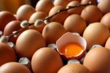  Fresh   Chicken   EGGS 