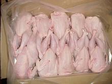 Best quality Halal Whole Frozen Chicken