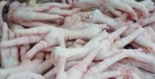High Quality Processed Frozen Chicken Feet AND Chicken Paws