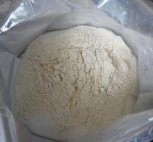 Garlic Powder Dehydrate (New Crop)