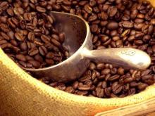  roasted   arabica   coffee  bean