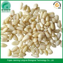 Chinese Shelled Pine  Nuts   Suppliers 