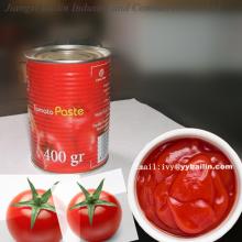 More competitive price 198g Easy Open Canned Tomato Paste in Tin