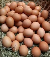 100% High  Quality   Fresh   Table   Eggs  Brown  Eggs  packed in Cartons