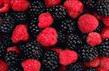 Dried Berries