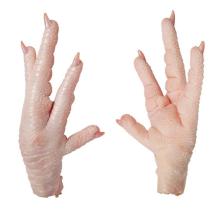 Halal Frozen Chicken Paw