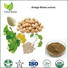 ginkgo biloba leaf extract,ginkgo biloba leaf powder,ginkgo biloba extract 24/6