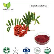 aronia extract,organic herbal extract,aronia chokeberry?extract