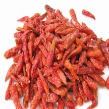 Dried Chilli
