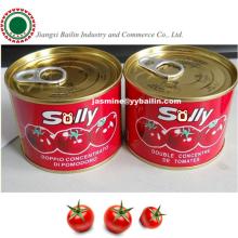 Health food normal open /easy open lid price canned tomato paste for 2015 new products in 400g can