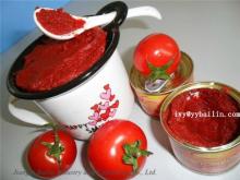  CANNED   TOMATO   PASTE   factory  28%min  canned   tomato es