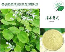 Epimedium P.E.