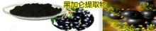 black currant P.E