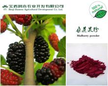 mulberry powder