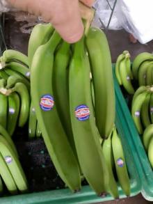 First Grade Fresh Cavendish Bananas Wholesale Prices
