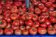  Farm   Fresh   Tomatoes 