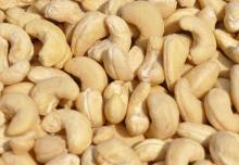 Raw And  Dried   Cashew   nut s
