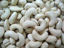 Grade A Cashew Nuts Fresh and Dried Nuts At Competitive Price