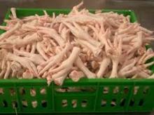 halal frozen chicken feet and paws