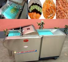 vegetable cutting machine for home