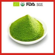 Green Tea Extract Powder