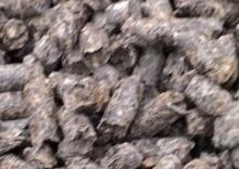 Sugar beet Pulp Pellets