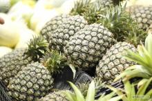 FRAIS PINEAPPLE TROPICAL ASIE