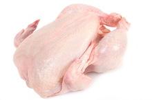 Whole Frozen Chicken with 100% LC