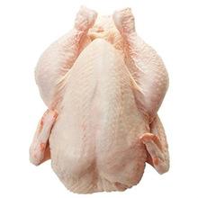 Fresh Frozen Chicken quarters (Grade A )