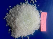  Japonica   rice 