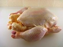 Brazil whole frozen chicken