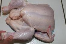 FROZEN HALAL WHOLE CHICKEN, WINGS, FEET,DRUM STICKS FROM INDONESIA