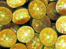 Frozen calamansi whole