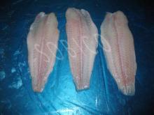 Pangasius Hypophthalmus fillet