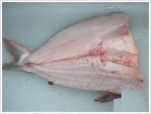 Pangasius/ Basa butterfly