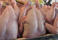 Grade A whole frozen chicken for export halal For sale.