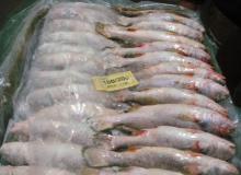 Lumpfish / Silver Smelt/ Plaice Frames / Brown Crab / Razor Clam / Redfish / Saithe.
