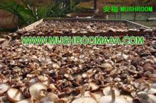 Dried Sliced Shiitake Mushroom ,Dehydrated Sliced Shiitake Mushrooms,Dehydrated wHOLE Shiitake Mushr