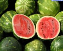 Water melon
