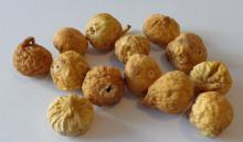 Dried Fig Closed Mouth