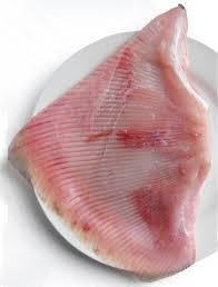  FROZEN  SKATE WINGS/Lobster tails/Banana Prawns/Salmon Chum Fillets/ LIVE  EEL FISH