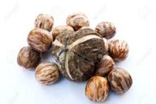 Rubber seed high quality from Viet Nam